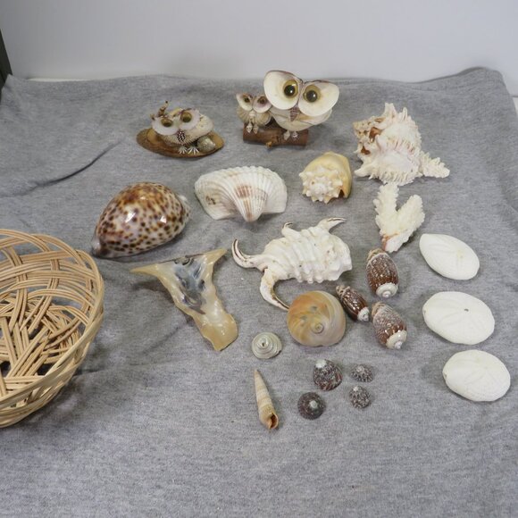 REAL sea shells and vintage Owl figures in woven basket - Picture 11 of 12